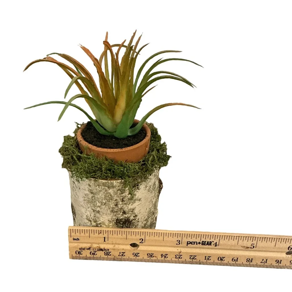 Handmade Artificial Succulent in Birch Log‎ with Moss Rustic Woodland Home Decor
